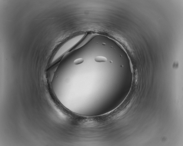 X0000094960589200711291443