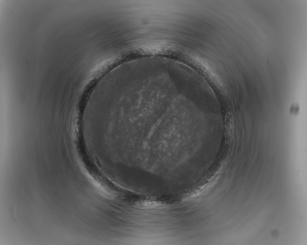 X0000094960590200711291443