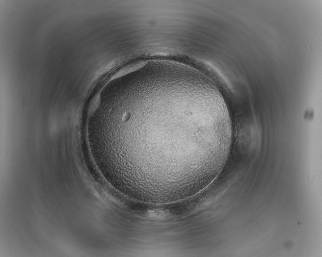 X0000094960591200711291443