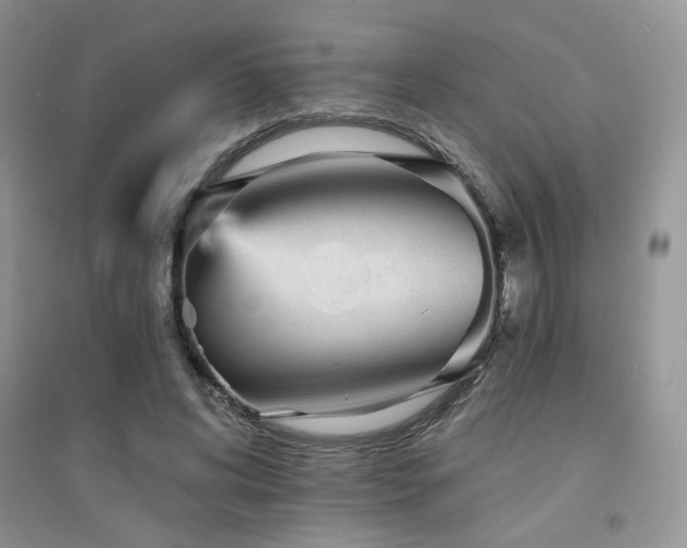 X0000094960592200711291443