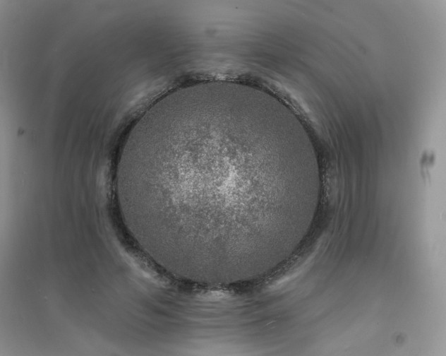 X0000094960594200711291442