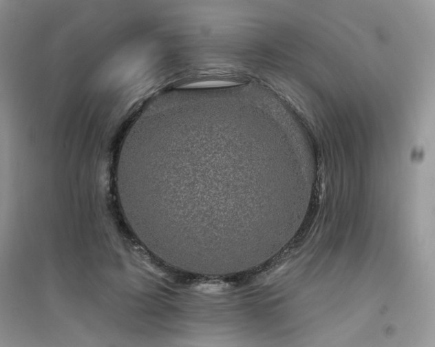 X0000094960595200711291442