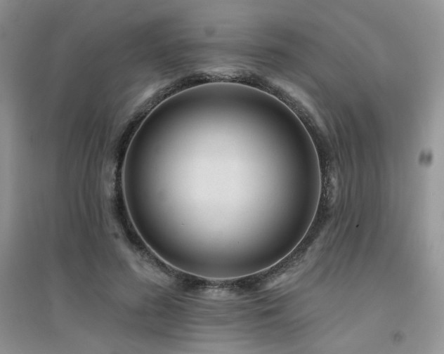 X0000094960596200711291442