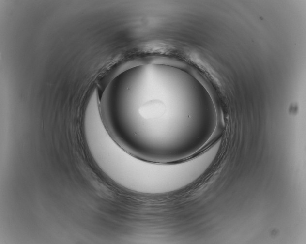 X0000094960597200711291442