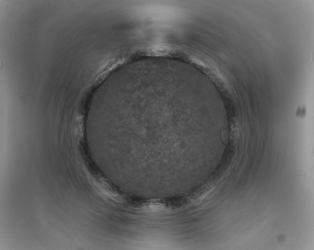 X0000094960598200711291442