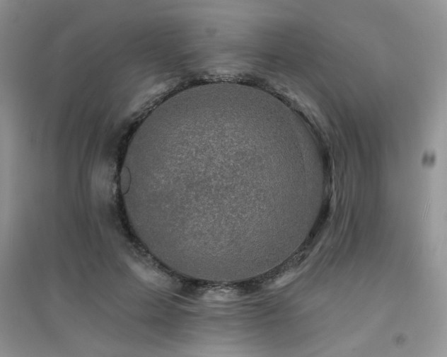 X0000094960599200711291442