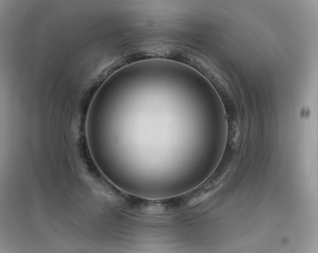 X0000094960600200711291442