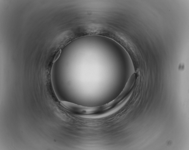 X0000094960601200711291442