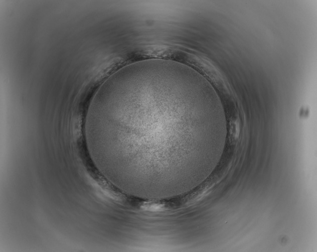 X0000094960602200711291442