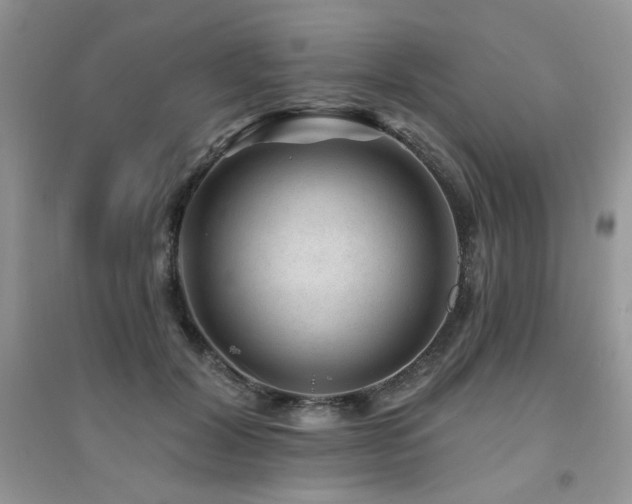 X0000094960604200711291442