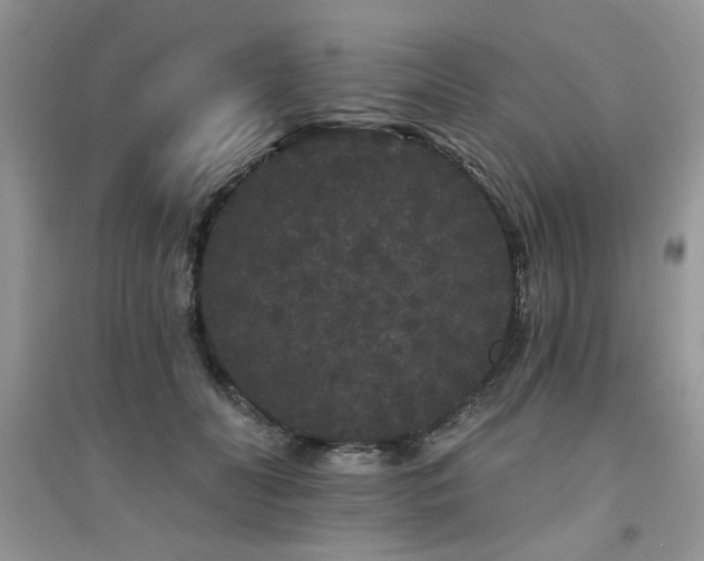 X0000094960606200711291442