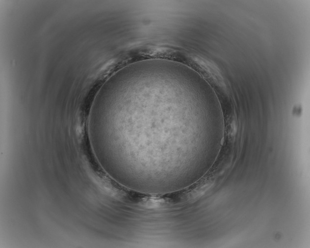 X0000094960607200711291442