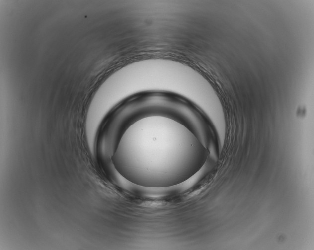 X0000094960609200711291442