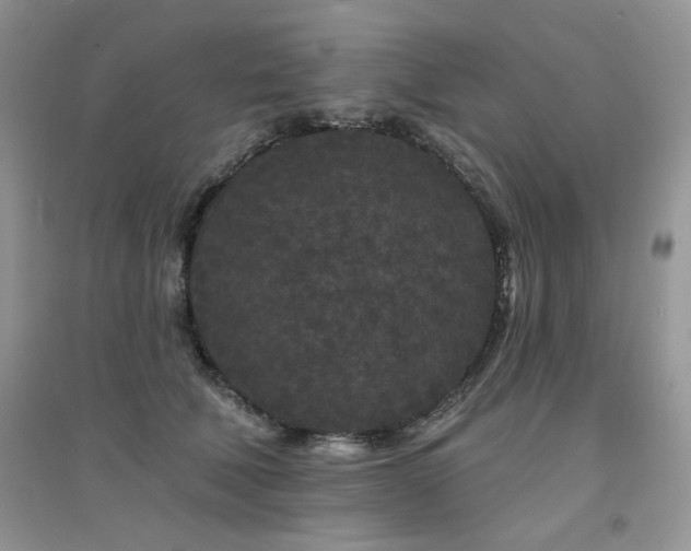 X0000094960610200711291442