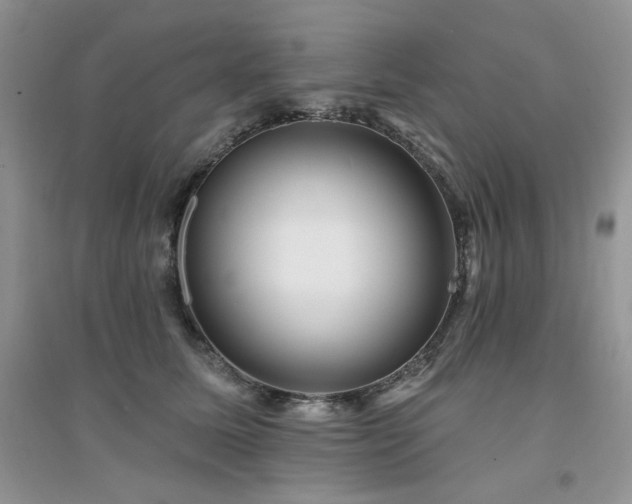 X0000094960611200711291442