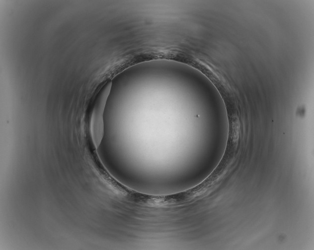 X0000094960613200711291442