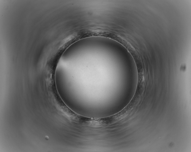 X0000094960615200711291442