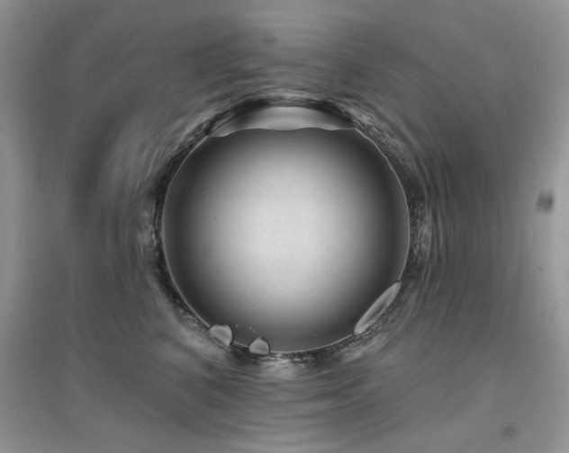 X0000094960616200711291442