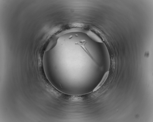 X0000094960617200711291442