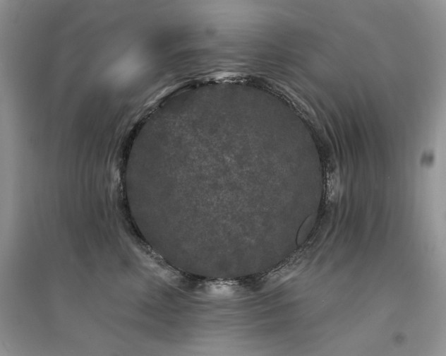 X0000094960618200711291442