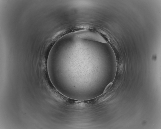 X0000094960620200711291442