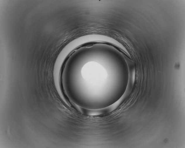 X0000094960621200711291442