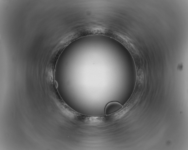 X0000094960622200711291442