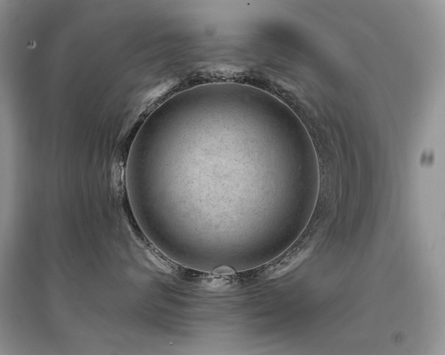 X0000094960624200711291442