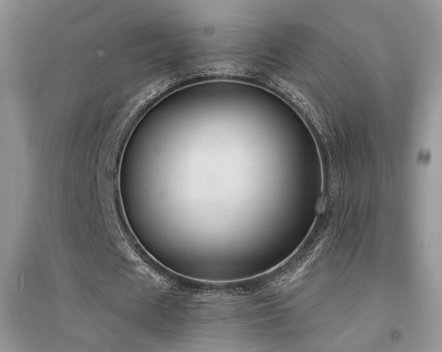 X0000094960625200711291441