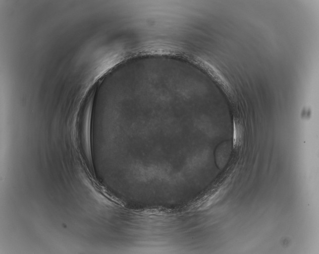 X0000094960627200711291441