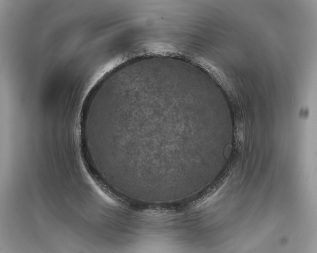 X0000094960630200711291441