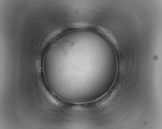 X0000094960633200711291442