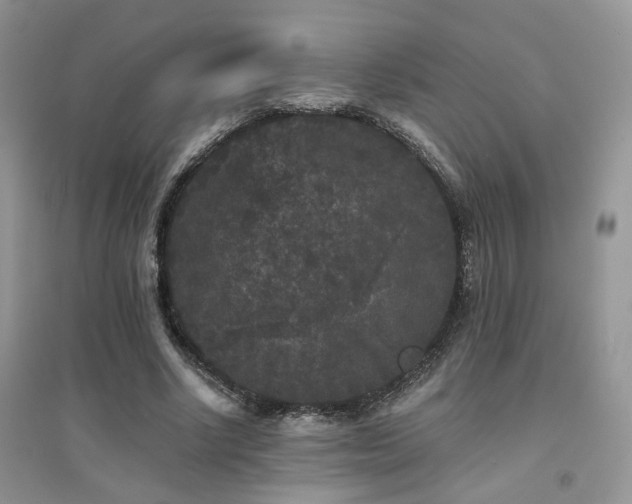 X0000094960634200711291442