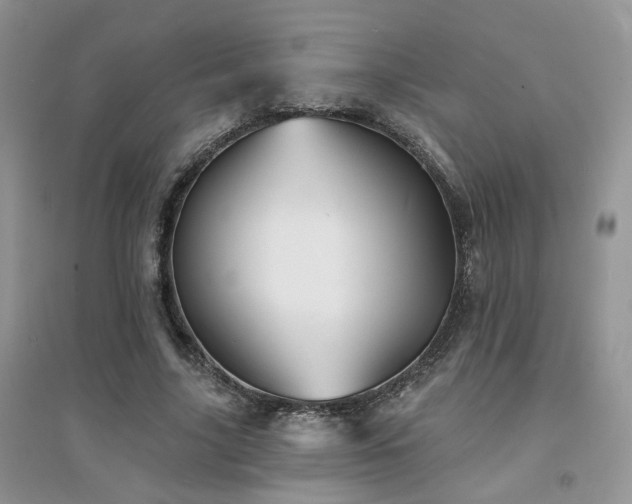 X0000094960635200711291442