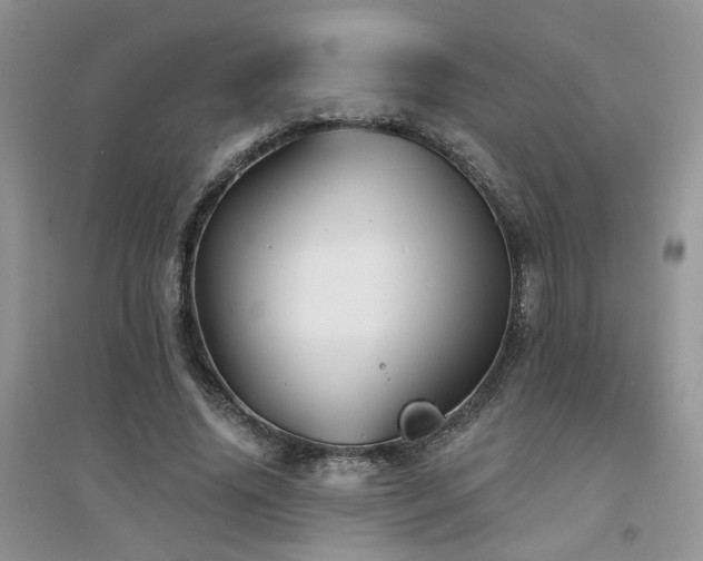 X0000094960636200711291442