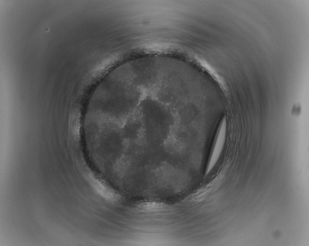 X0000094960637200711291442