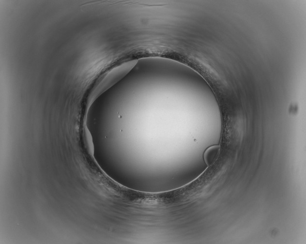 X0000094960639200711291442