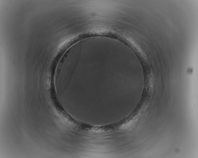 X0000094960640200711291442