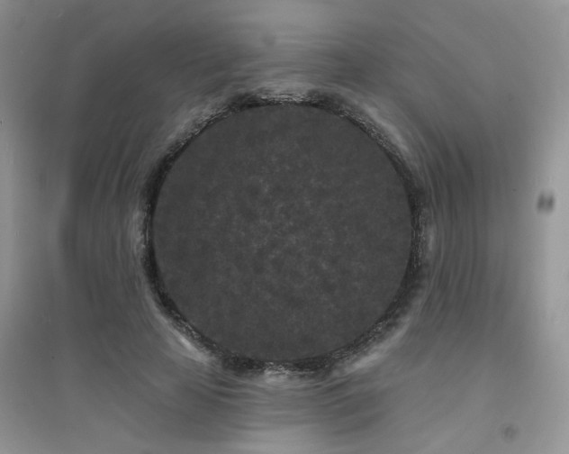 X0000094960641200711291442