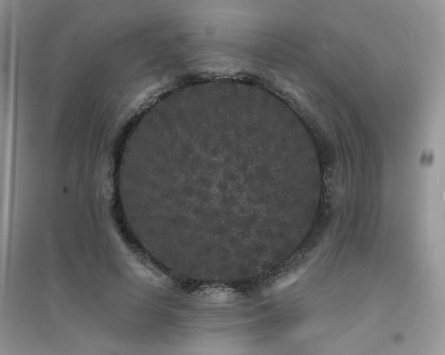 X0000094960642200711291442