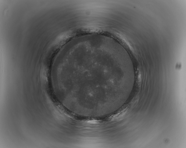 X0000094960643200711291442