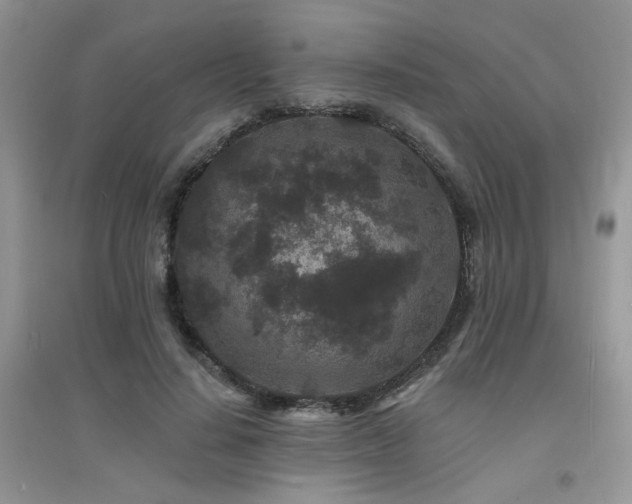 X0000094960644200711291442