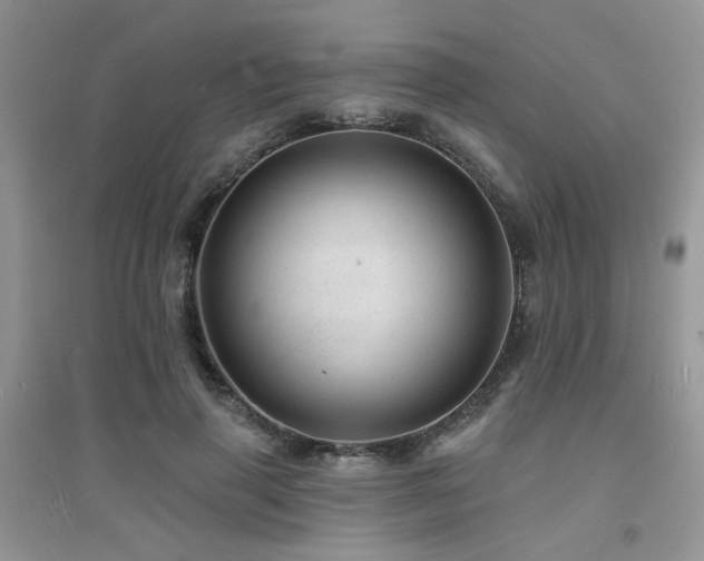 X0000094960645200711291442