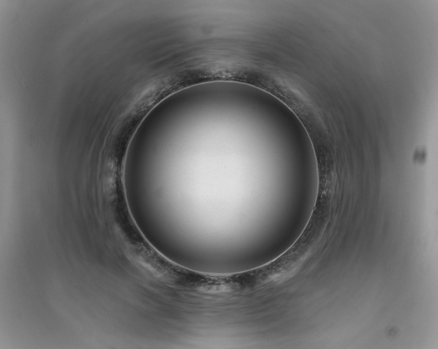 X0000094960646200711291442