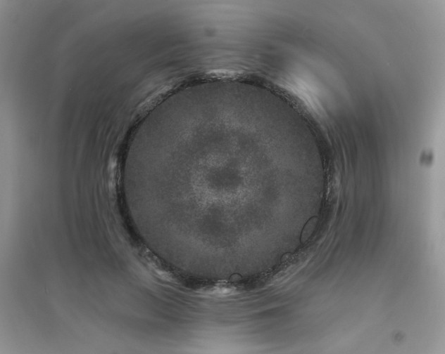 X0000094960647200711291442