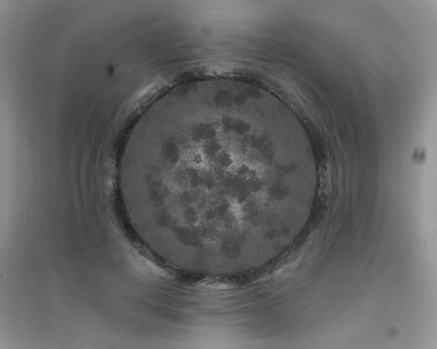 X0000094960648200711291442