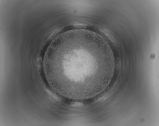 X0000094960649200711291442