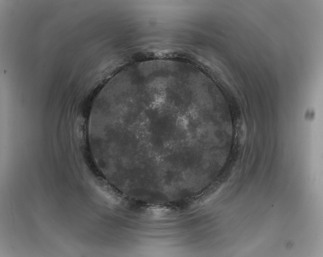 X0000094960650200711291442