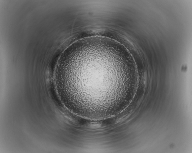 X0000094960651200711291442