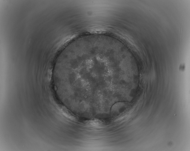 X0000094960652200711291442